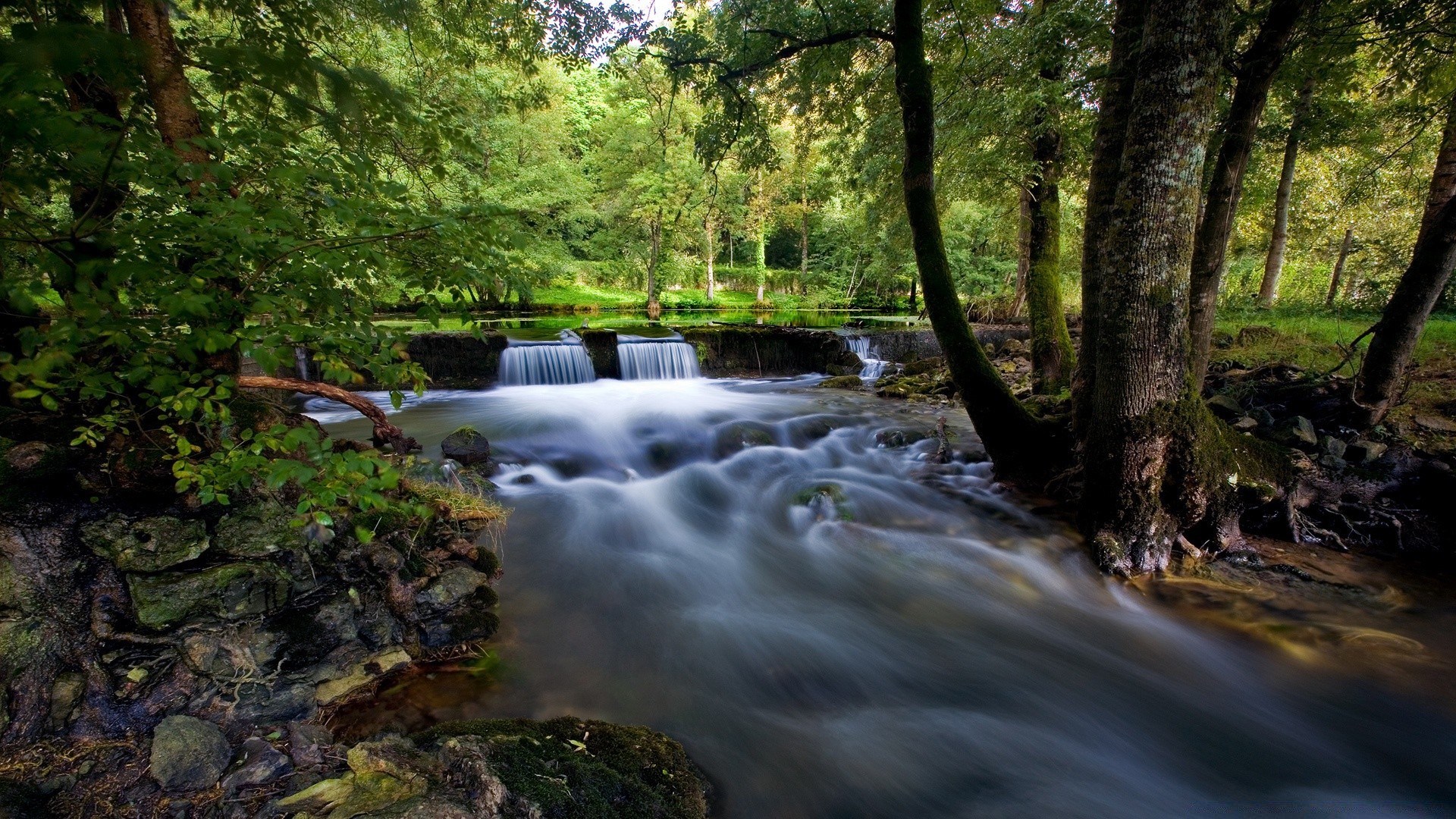 cascate acqua fiume legno cascata flusso natura autunno creek paesaggio foglia muschio albero all aperto cascata roccia parco rapids bagnato flusso