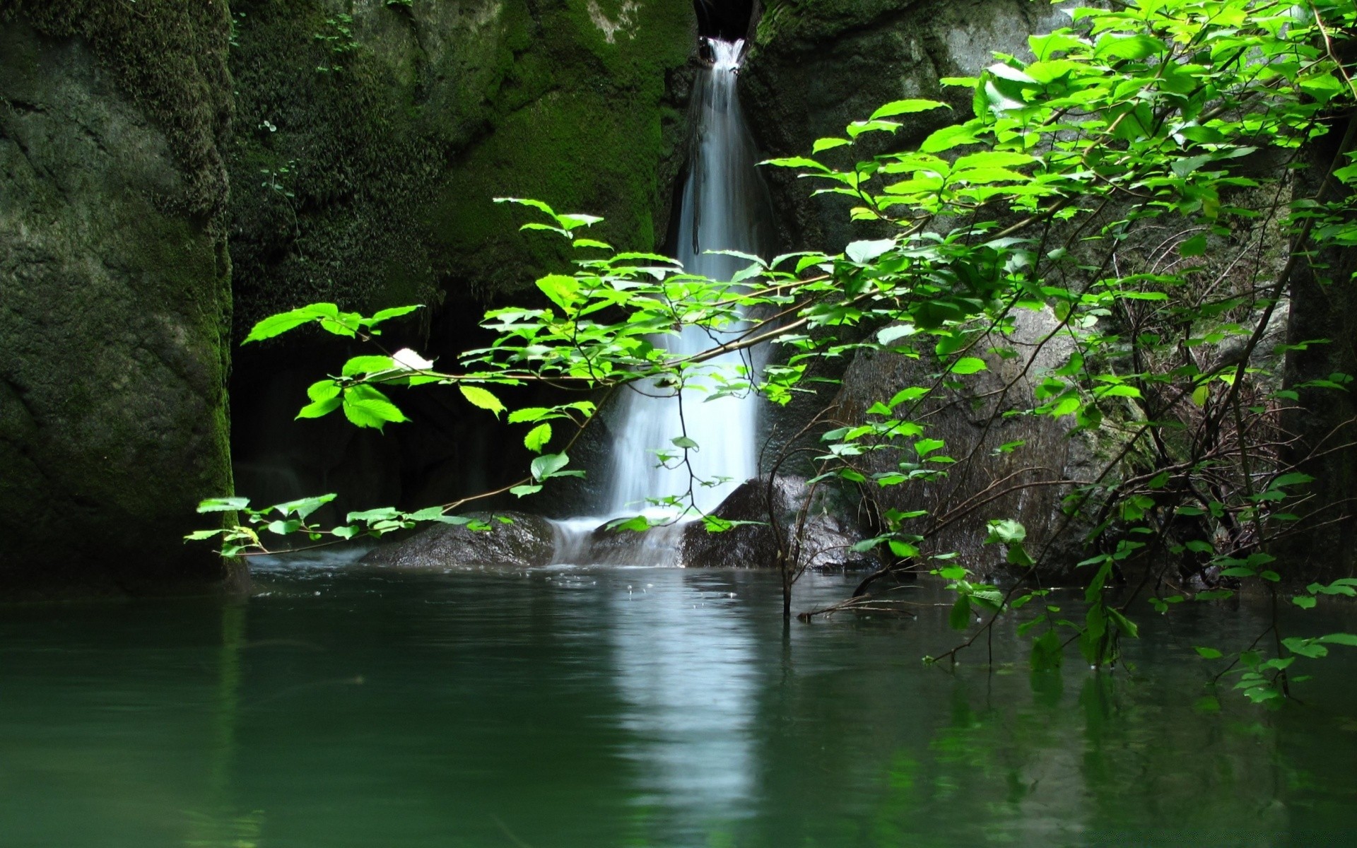 cascadas agua naturaleza madera río hoja corriente cascada árbol al aire libre medio ambiente parque paisaje húmedo tropical viajes verano lluvia corriente exuberante