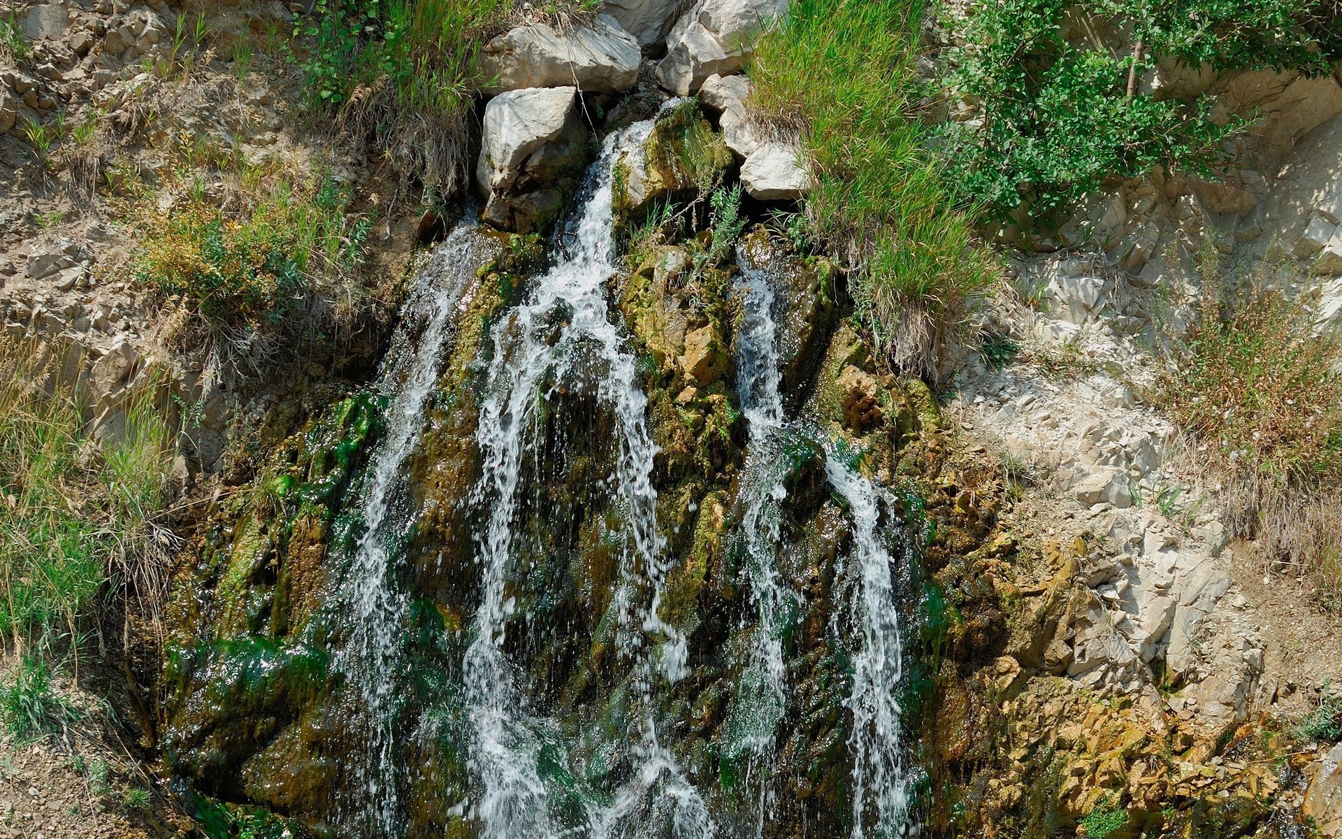 cascades nature eau cascade pierre rock ruisseau bois paysage rivière automne ruisseau à l extérieur mousse voyage feuille montagne humide sauvage été