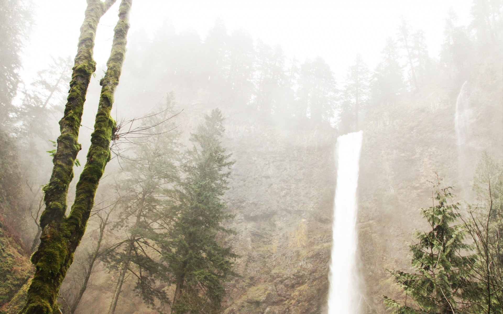 waterfalls tree landscape nature wood outdoors travel fog mist mountain