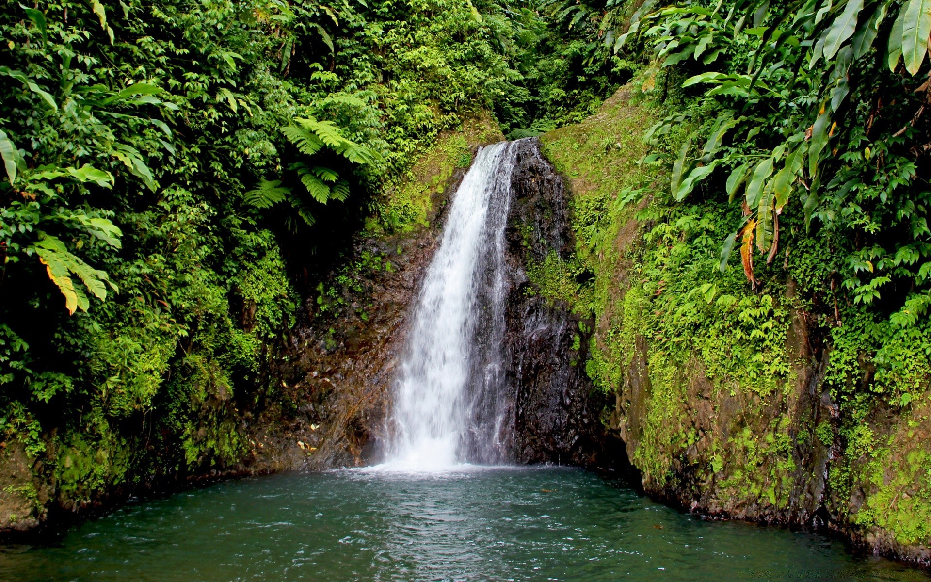 cascate acqua cascata fiume natura flusso legno all aperto roccia viaggi estate foglia paesaggio bagnato albero selvaggio cascata foresta pluviale scenic