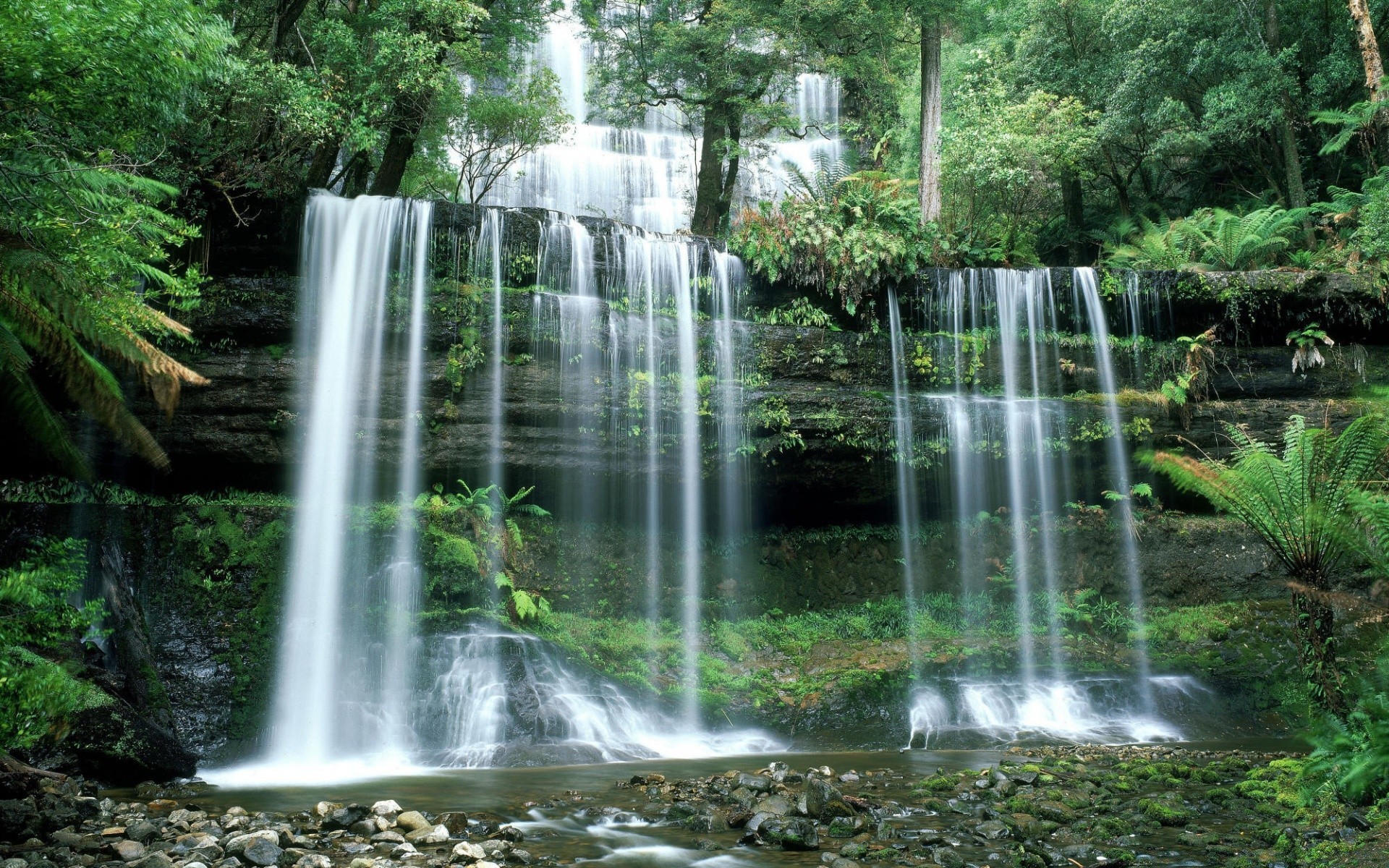 cascadas agua naturaleza cascada mojado hoja madera río tropical corriente verano medio ambiente al aire libre cascada limpio exuberante otoño flora salvaje parque