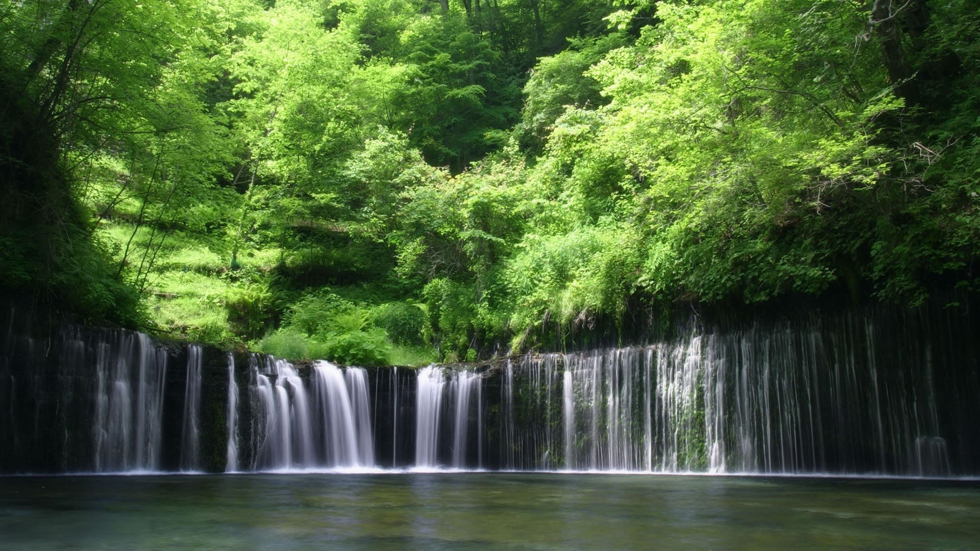 cascades eau cascade bois nature rivière ruisseau feuille arbre paysage cascade parc ruisseau environnement extérieur luxuriante été humide voyage sauvage