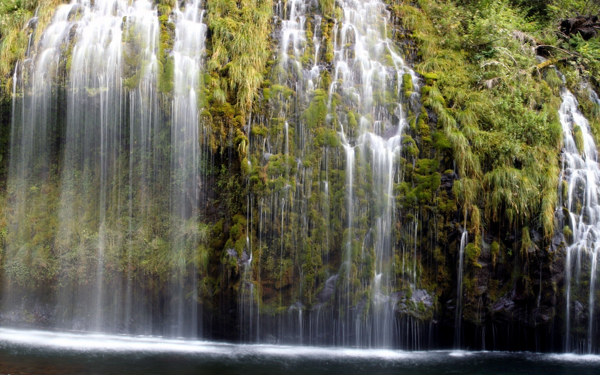 cascades cascade eau nature rivière bois flux feuille cascade automne parc à l extérieur humide paysage sauvage voyage propre flore bois rock