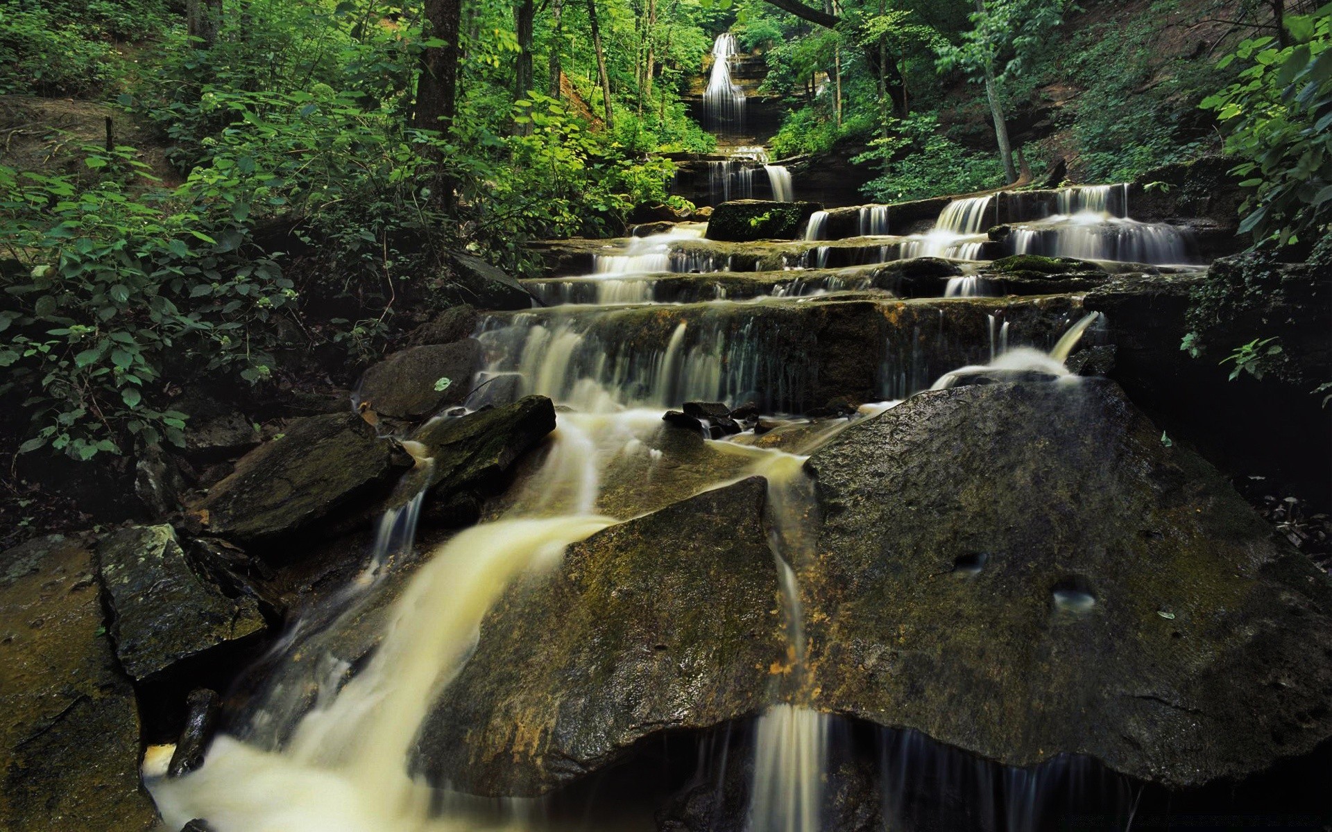 cascades eau cascade ruisseau rivière bois cascade ruisseau nature mouvement cri feuille voyage rock à l extérieur automne paysage bois splash humide