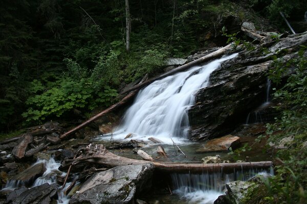 Belle cascade qui coule à travers la forêt