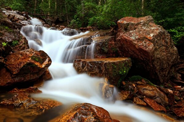 Wasserfluss in einem Wasserfall im Wald