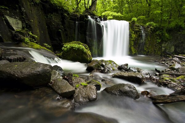 A beautiful waterfall in the thicket of the jungle