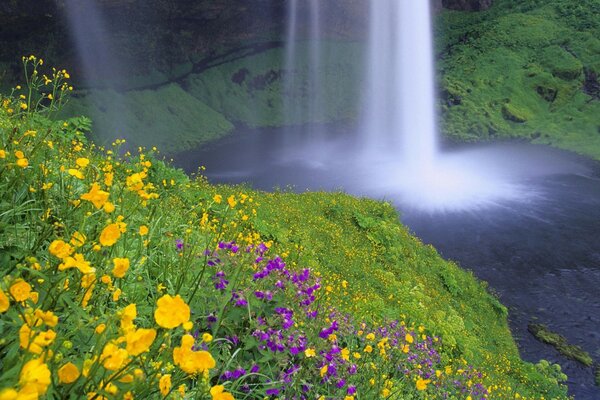 Ein sehr schöner Wasserfall auf einem Hintergrund von Blumen