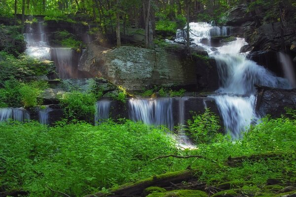 Wasserfall im Hintergrund von Wald und Fluss