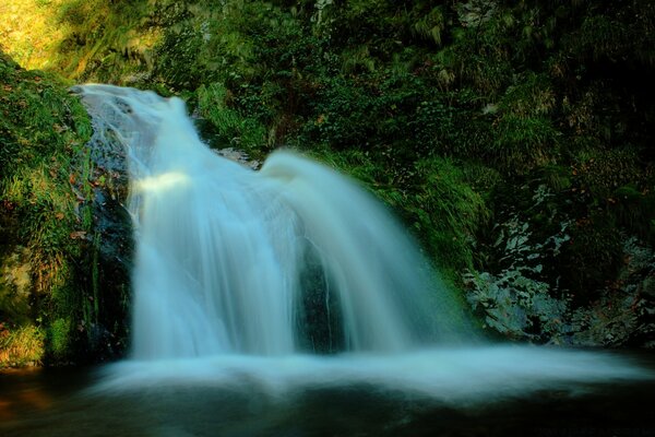 Bela cachoeira na floresta durante o dia