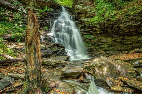 Mehrstufiger schöner Wasserfall im Wald