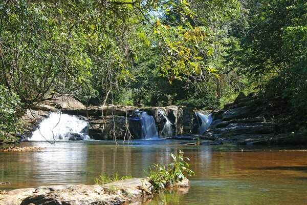 Wasserfall in freier Wildbahn