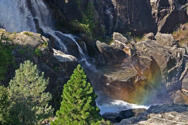 Una roca cerca de una cascada con árboles