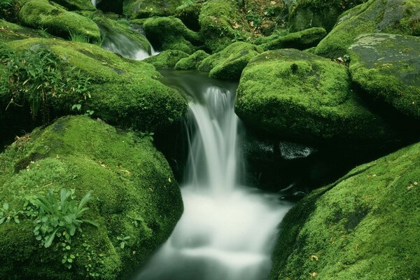 Waterfall on rocks covered with moss