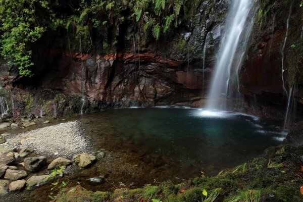 Ein kleiner malerischer Wasserfall inmitten des Grüns