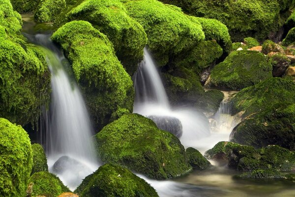 Cascade avec des pierres envahies par la mousse