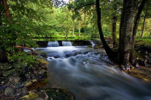 Cascade sur fond de forêt et rivière