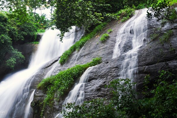 Landschaft der Natur mit einem Wasserfall und einem Felsen