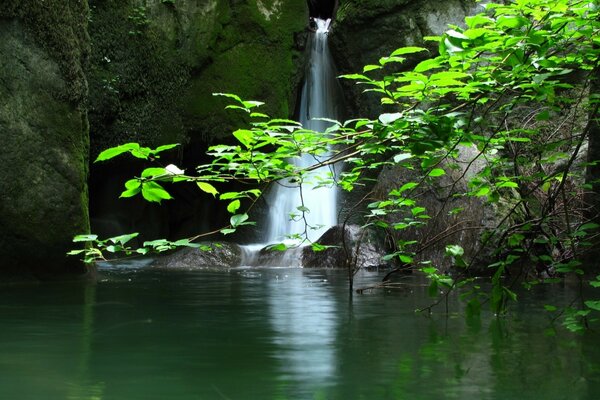 Маленький водопад у лесного озера