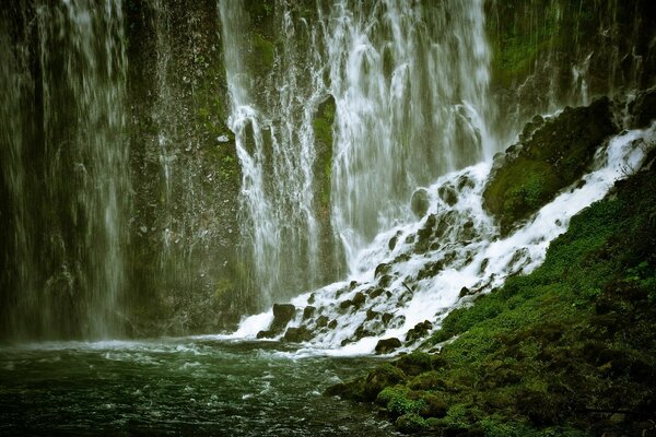 Transparent streams of the waterfall fall on the green shore