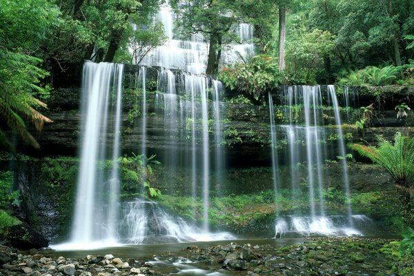 Tropical waterfall with moss