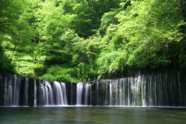 Waterfalls in the middle of the forest