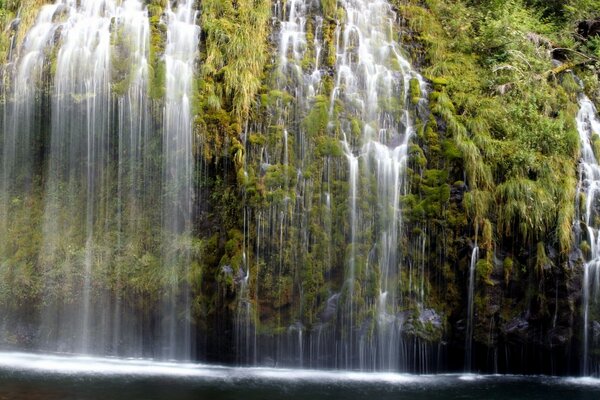 Sutiles chorros de cascada bañan los árboles en la ladera de la montaña