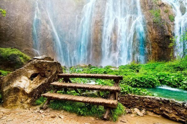 Cascada gigante y brillante junto al sendero del bosque