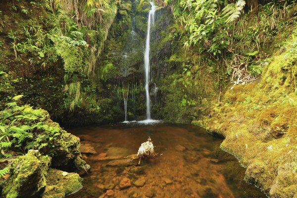 Der Wasserfall fließt von hohen Klippen