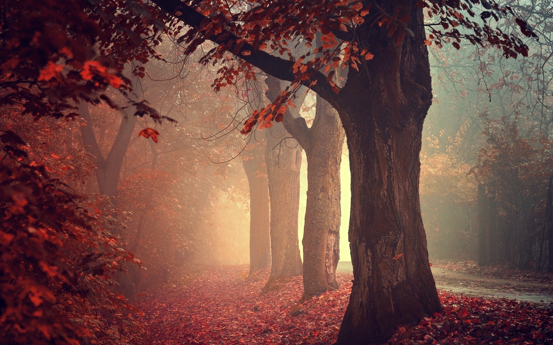 herbst nebel malerei holz herbst licht nebel kunst holz landschaft blatt unheimlich wasser geheimnis