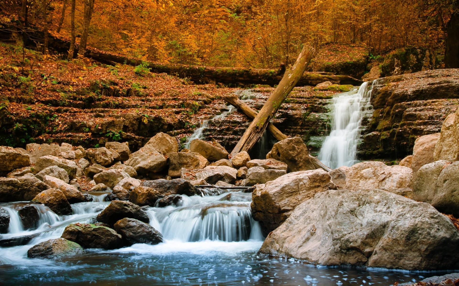 autunno cascata di acqua flusso fiume natura autunno roccia all aperto creek di legno di paesaggio di viaggio cascata rapids flusso di traffico wild leaf parco