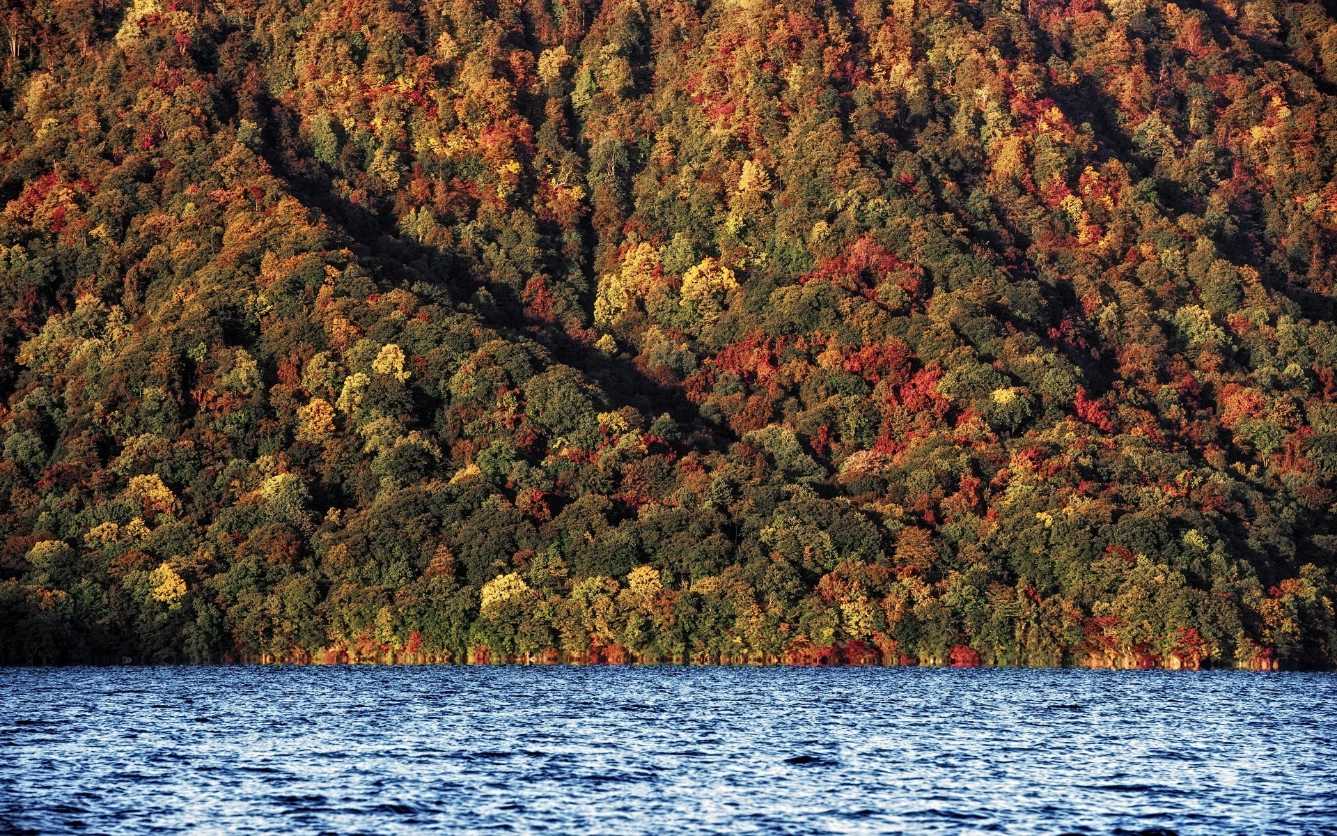 autumn fall tree water nature landscape outdoors wood season travel leaf lake daylight river scenic mountain