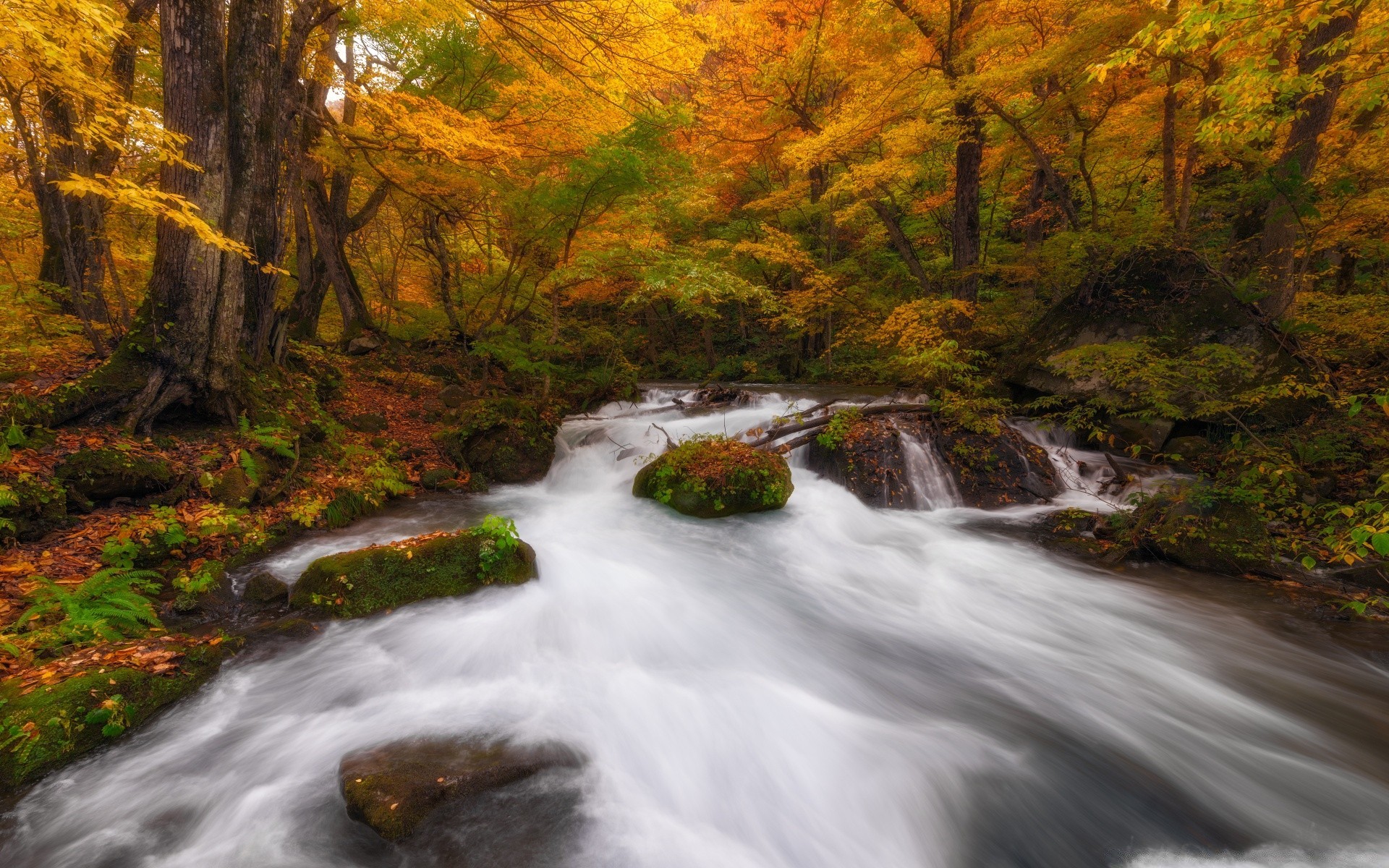 jesień jesień wodospad drewno rzeka krajobraz strumień wody natura liść drzewo na zewnątrz creek rapids rock scenic cascade travel moss park