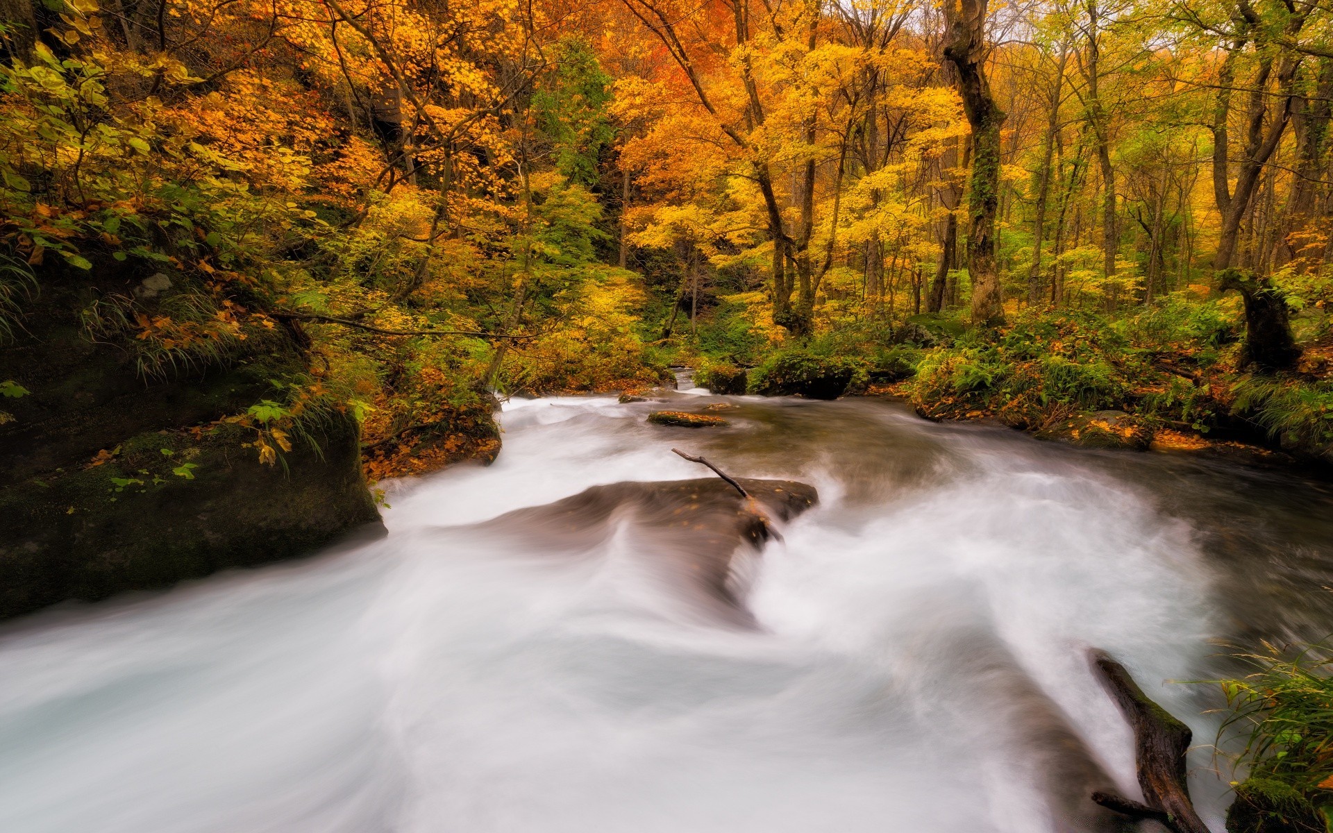 autunno autunno paesaggio acqua legno fiume all aperto albero natura cascata rapids luce del giorno foglia scenic viaggi motion blur