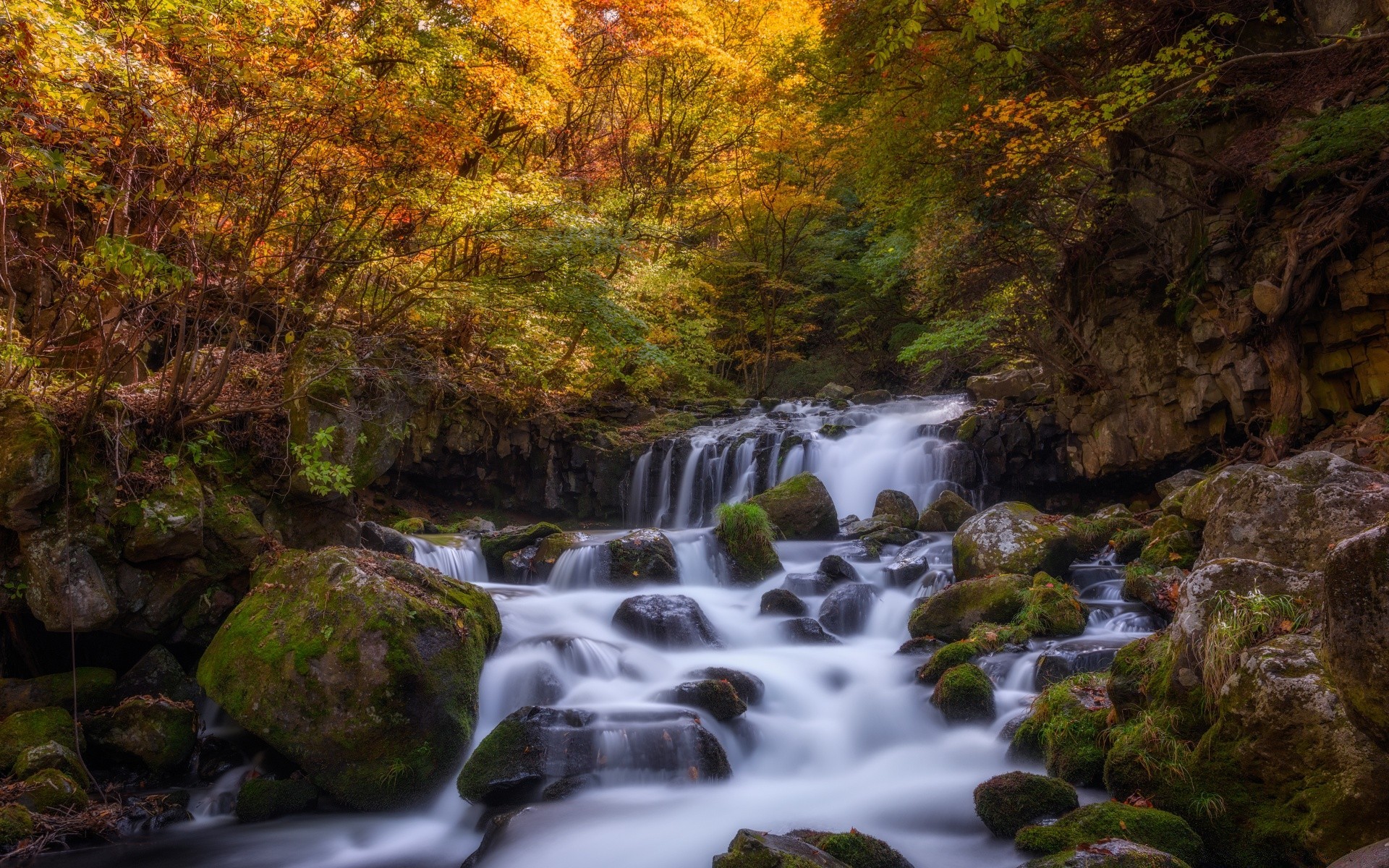 осінь води водоспад осінь річка потік природа лист деревини рок каскад пейзаж потік крик - рапідс мох на відкритому повітрі руху подорожі дерево