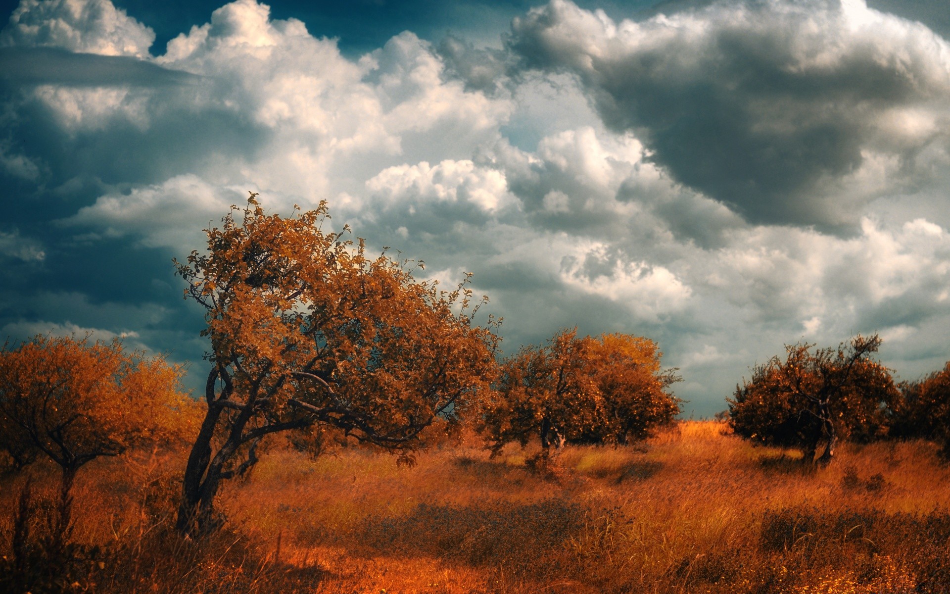 autumn landscape tree dawn fall sunset nature sky sun outdoors fair weather countryside wood evening weather leaf