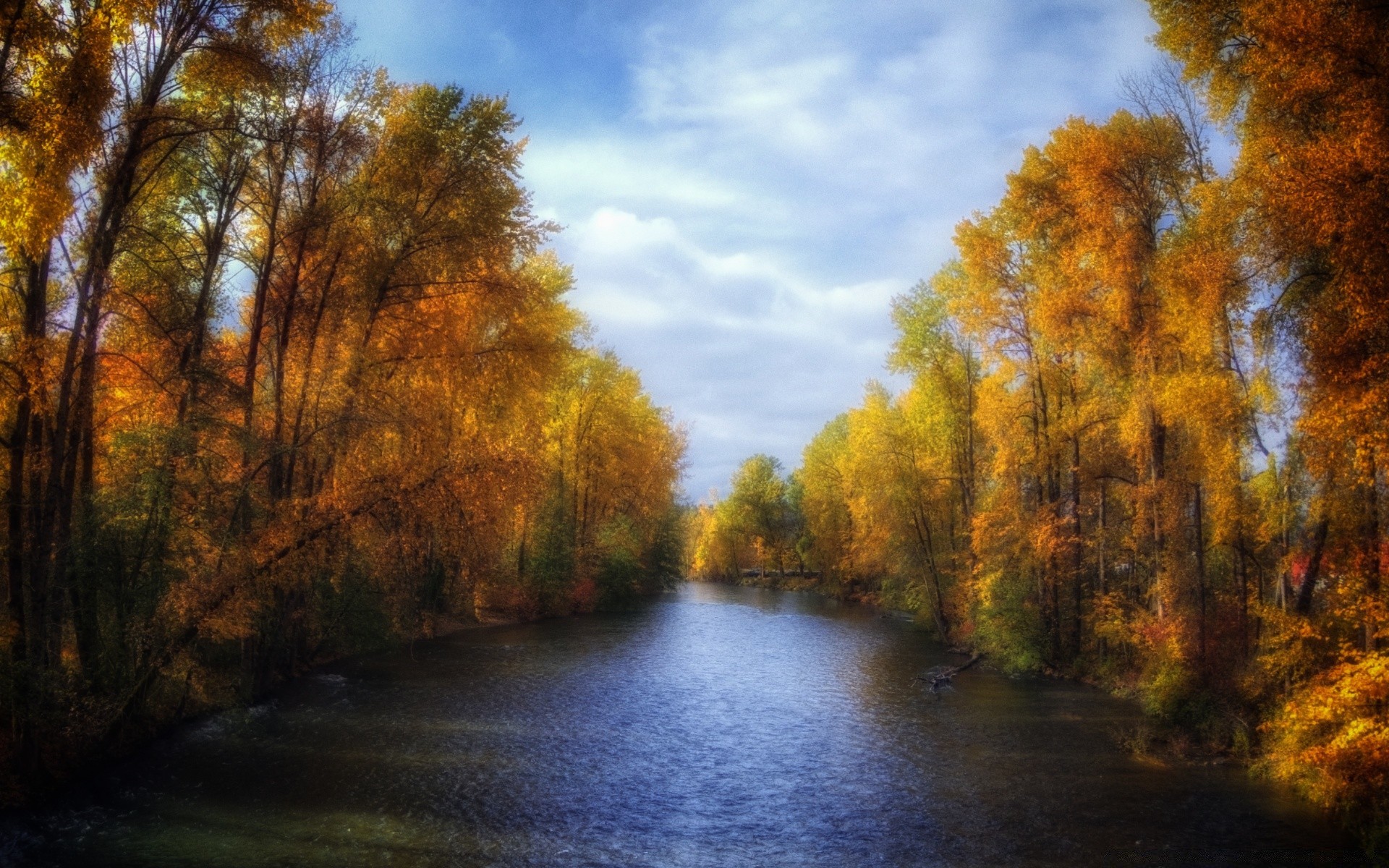 autumn fall tree nature wood landscape water leaf outdoors dawn river lake reflection scenic park fair weather sky composure sunset