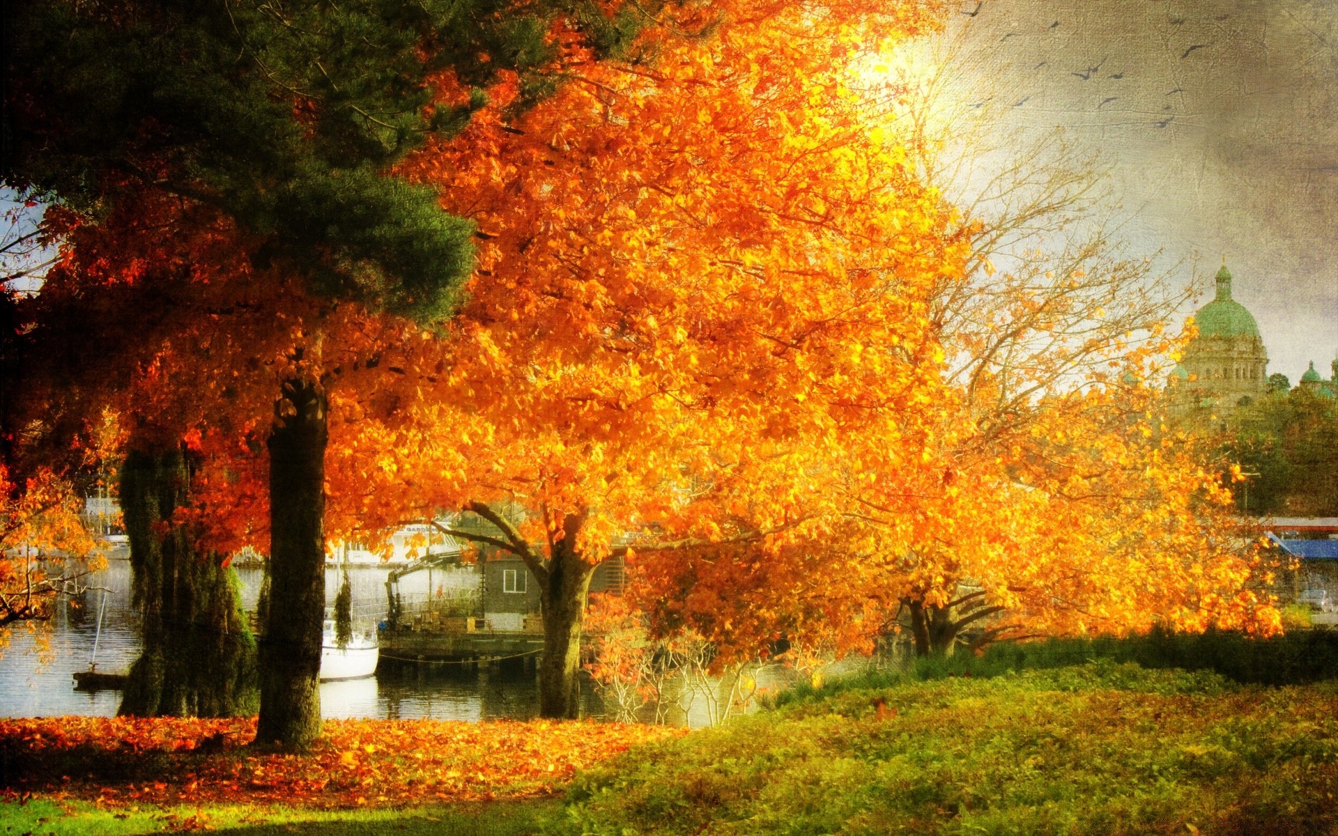 herbst herbst holz blatt dämmerung natur park im freien landschaft holz ahorn jahreszeit sonne gutes wetter nebel landschaft nebel üppig