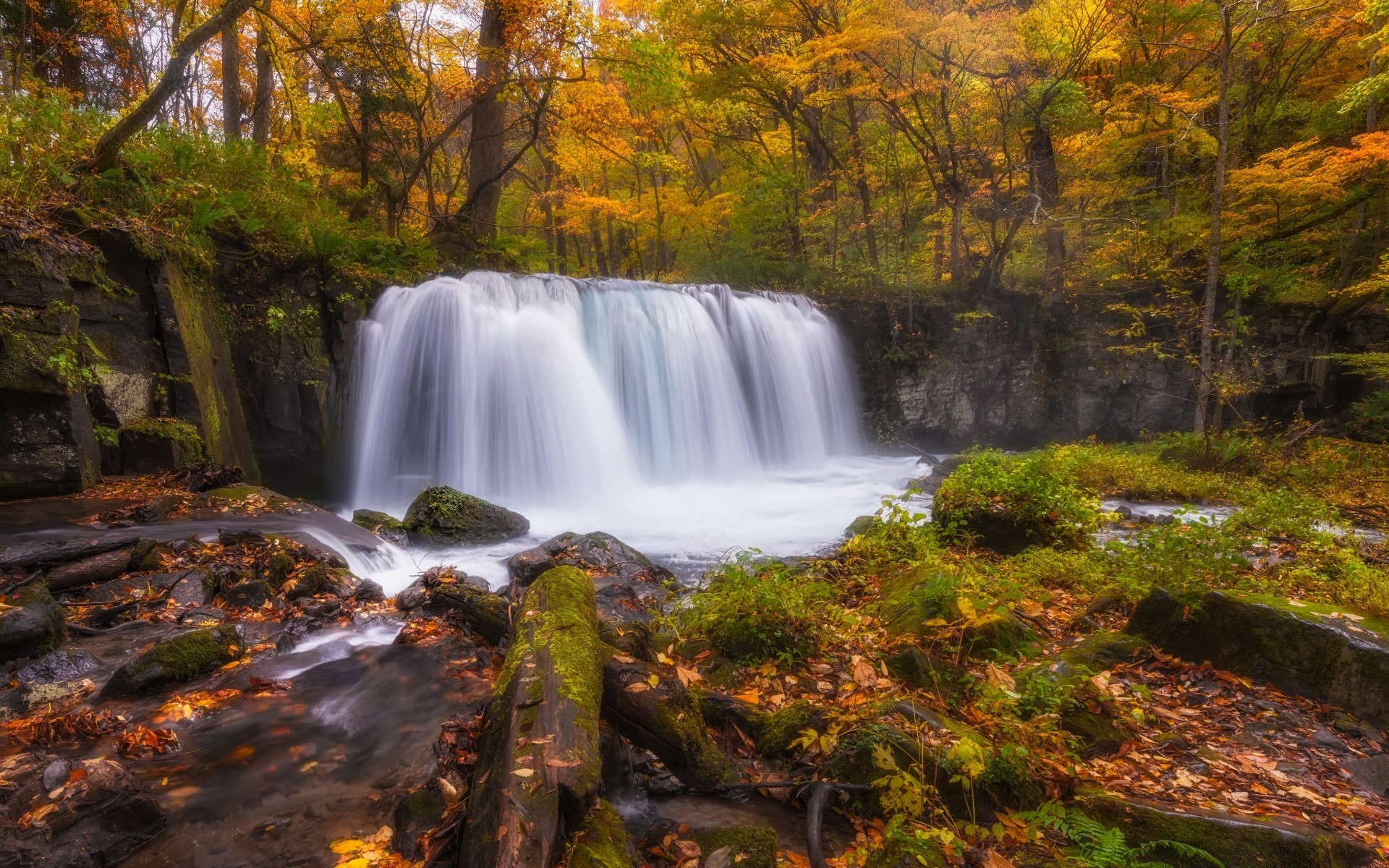 autunno autunno cascata acqua fiume paesaggio flusso foglia di legno cascata natura all aperto rapids albero muschio scenic creek parco lussureggiante roccia