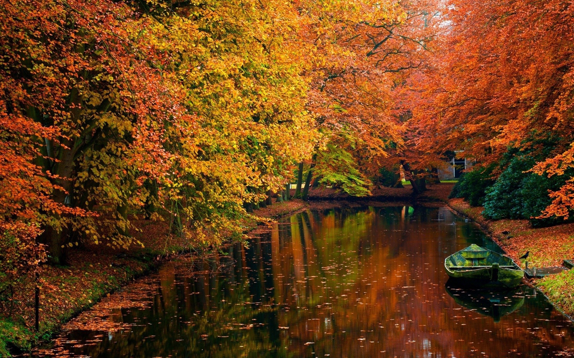 automne automne feuille bois bois eau à l extérieur paysage nature rivière érable scénique lac parc voyage