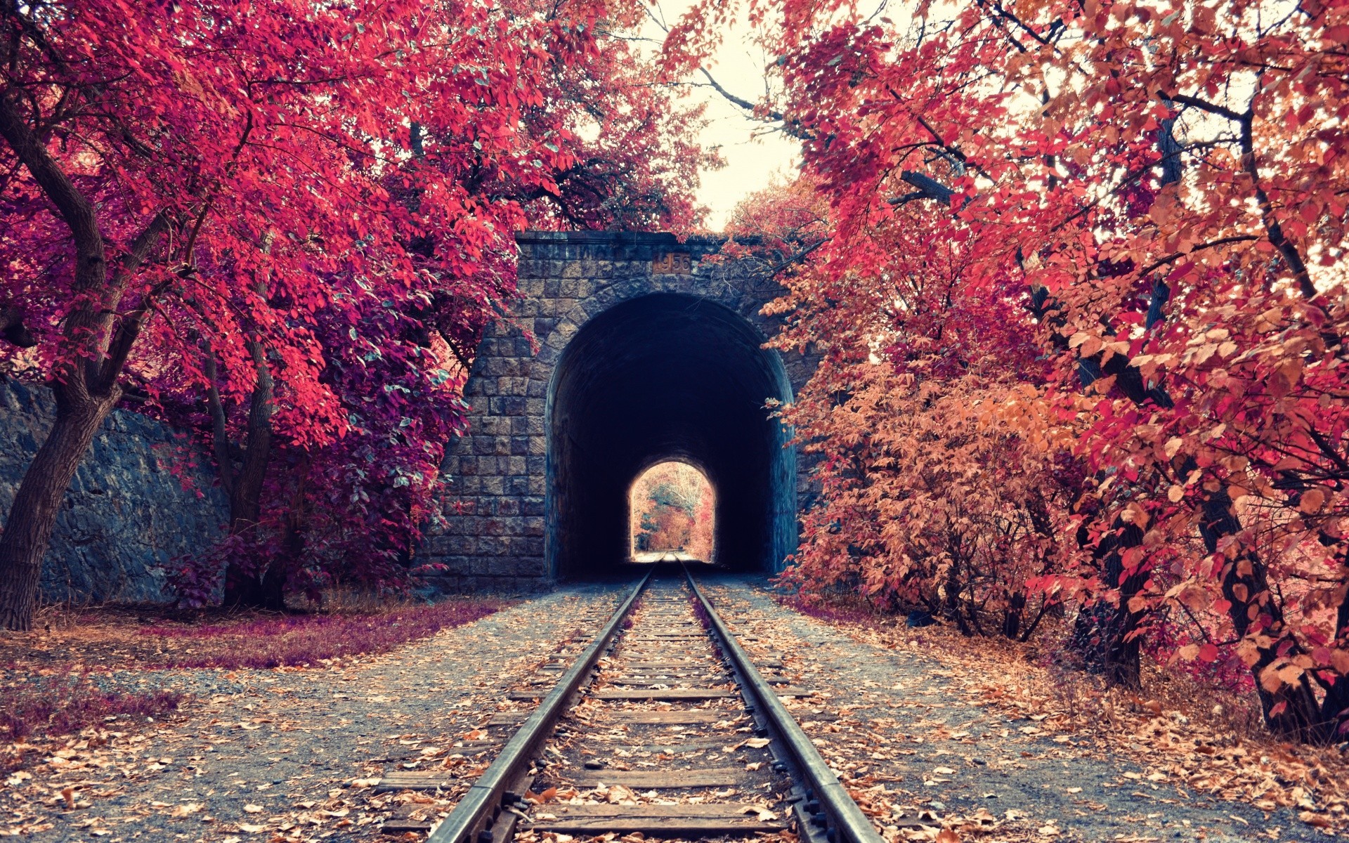 autumn railway fall guidance train tree leaf travel tunnel track nature road perspective outdoors light landscape wood park