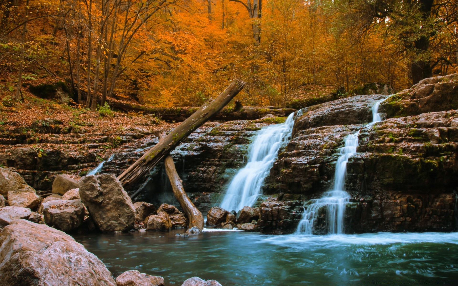 herbst wasser fluss fluss herbst landschaft natur holz wasserfall im freien holz rock landschaftlich reisen blatt schrei park rapids medium fluss