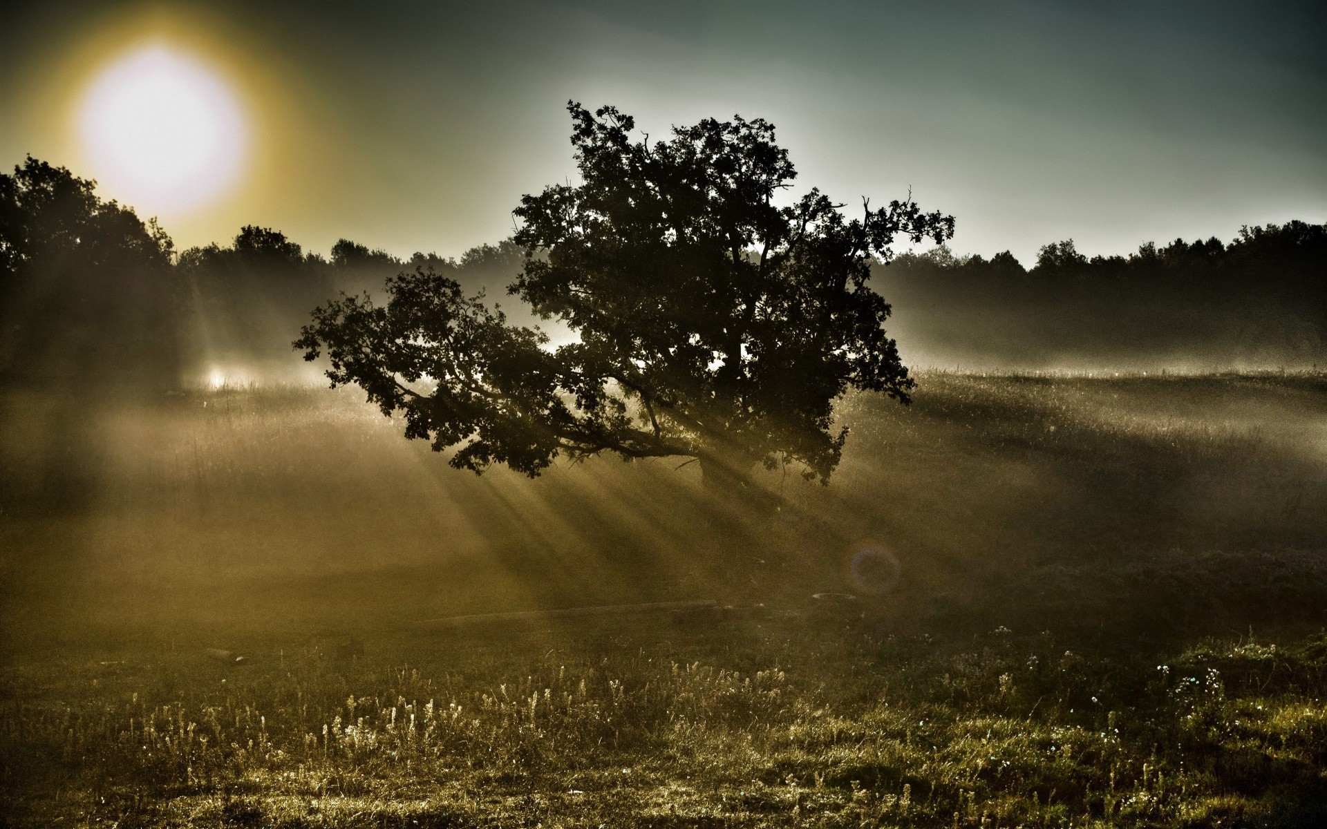 herbst landschaft nebel dämmerung sonne sonnenuntergang baum natur himmel nebel licht feld gras gutes wetter wolke landschaft holz