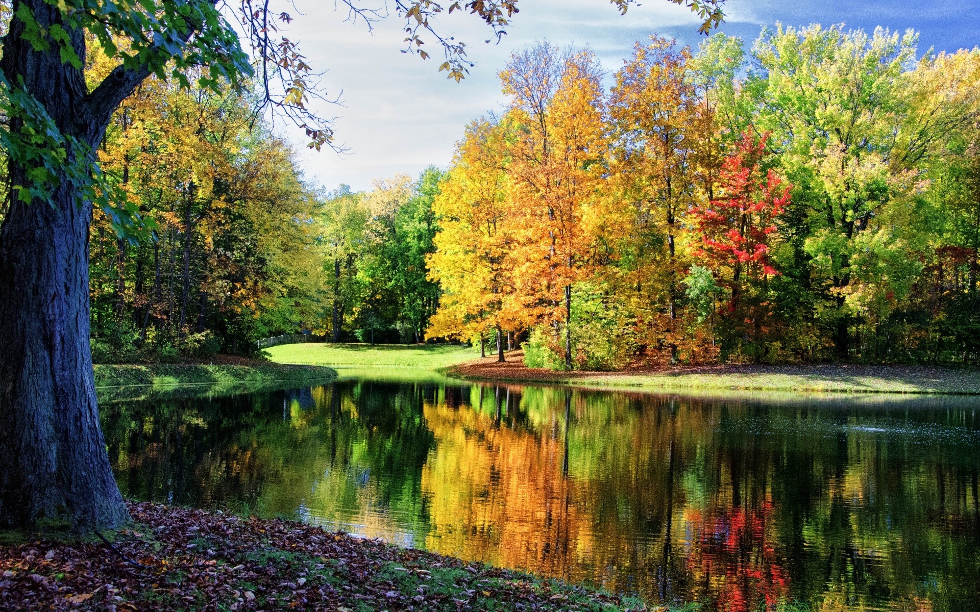 autumn tree fall wood nature leaf landscape park water lake scenic season river scenery outdoors environment pool maple