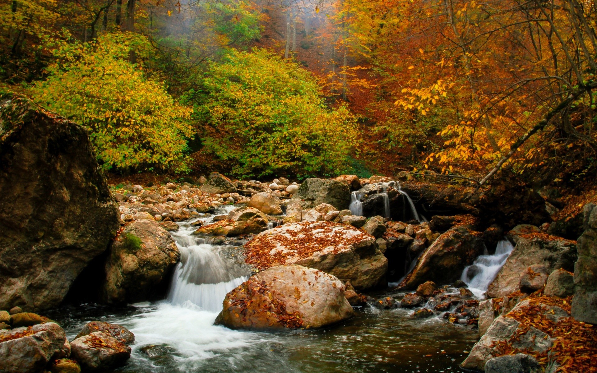 herbst herbst wasser wasserfall blatt fluss fluss holz natur im freien rock rapids schrei reisen baum kaskade landschaft fluss