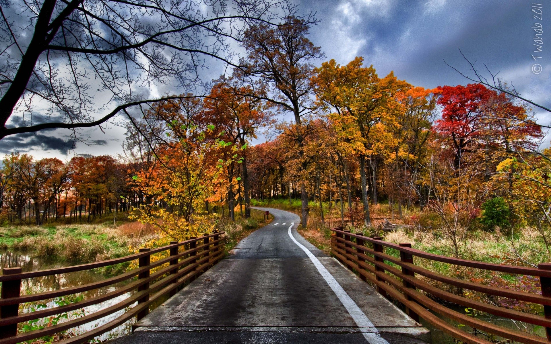 jesień jesień drewno liść drzewo natura krajobraz sezon przewodnik park sceniczny droga ogrodzenie wiejski klon ścieżka na zewnątrz scena wieś krajobrazy kraj