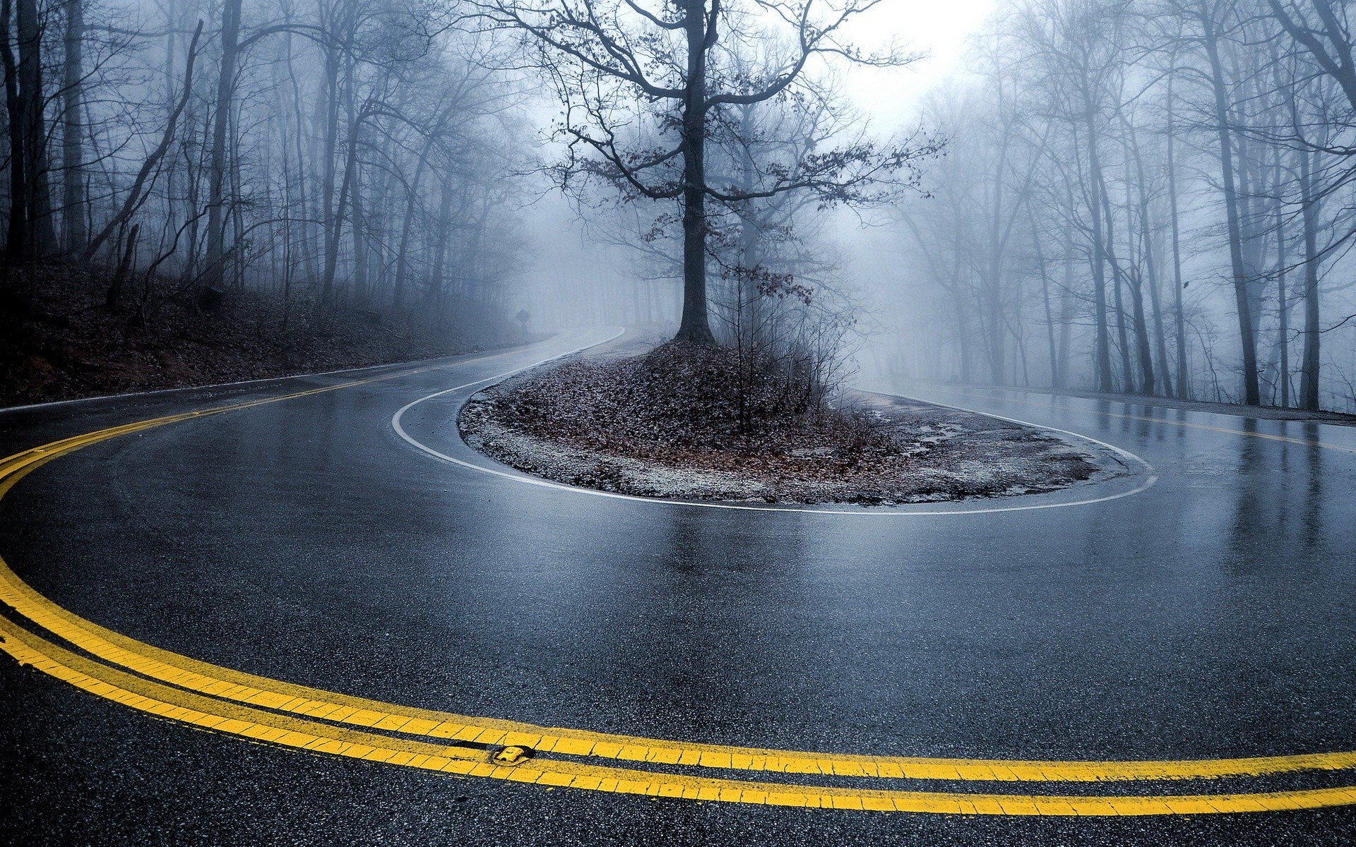 outono estrada neve inverno árvore névoa asfalto paisagem guia viagens ao ar livre amanhecer natureza névoa tempo madeira rodovia