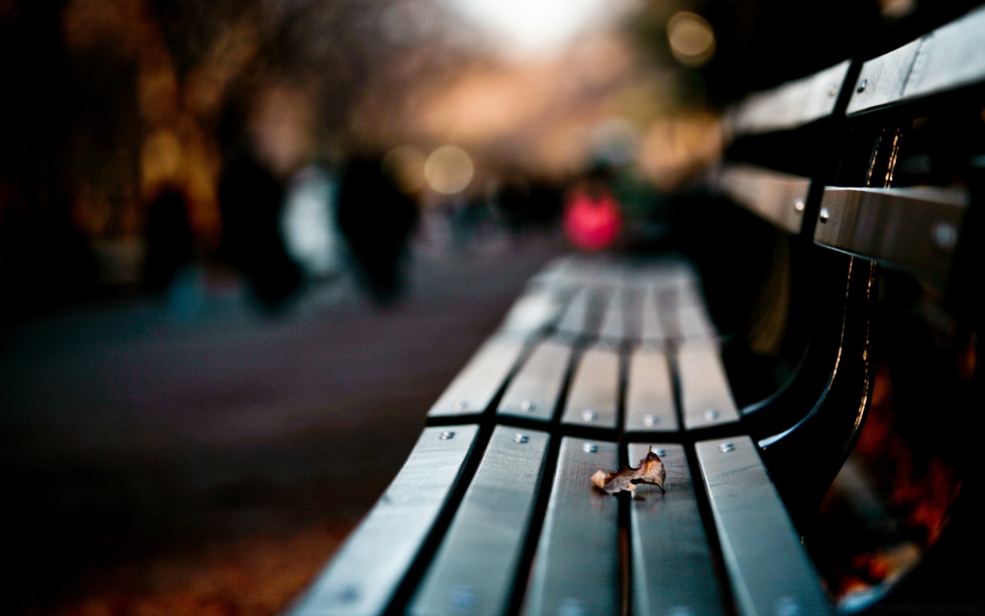 autumn light music blur guitar street instrument