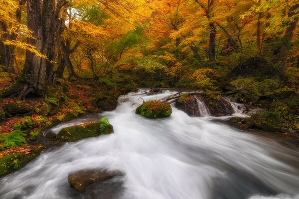 Paysage d automne avec une cascade sur les pierres